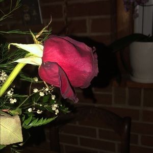 Meet your Posher, Stevie